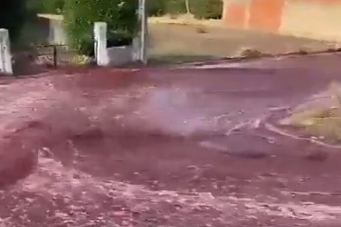 Wioskę w Portugalii zalała powódź z… wina.