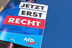 AfD. Niemcy. Polityka. Alternatywa dla Niemiec. Alternative für Deutschland.