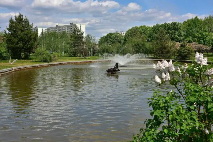 Park Bródnowski w Warszawie.