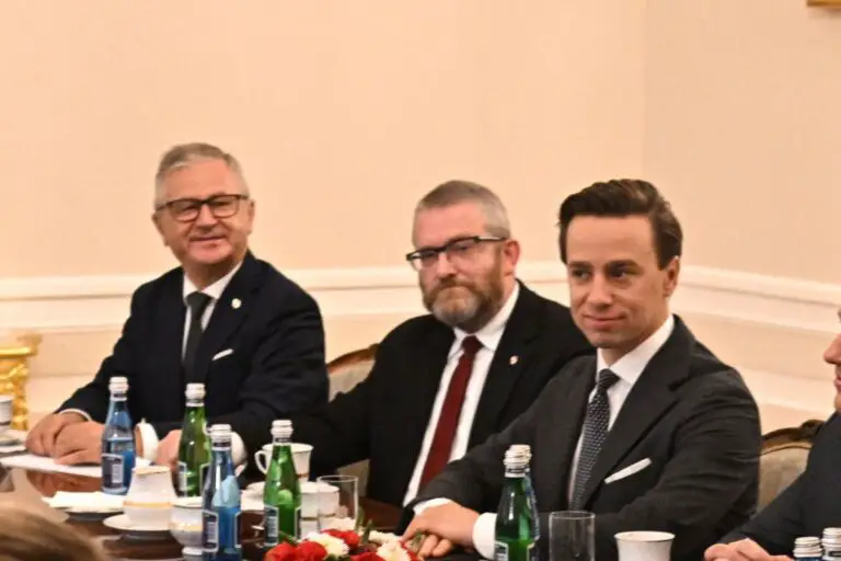 Włodzimierz Skalik, Grzegorz Braun, Krzysztof Bosak podczas spotkania z prezydentem Andrzejem Dudą.