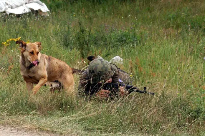 Żołnierz z psem.