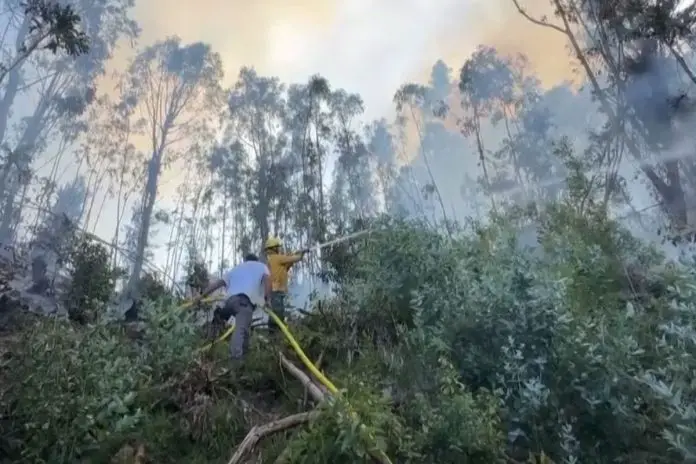 Kilkadziesiąt pożarów lasów w Kolumbii.