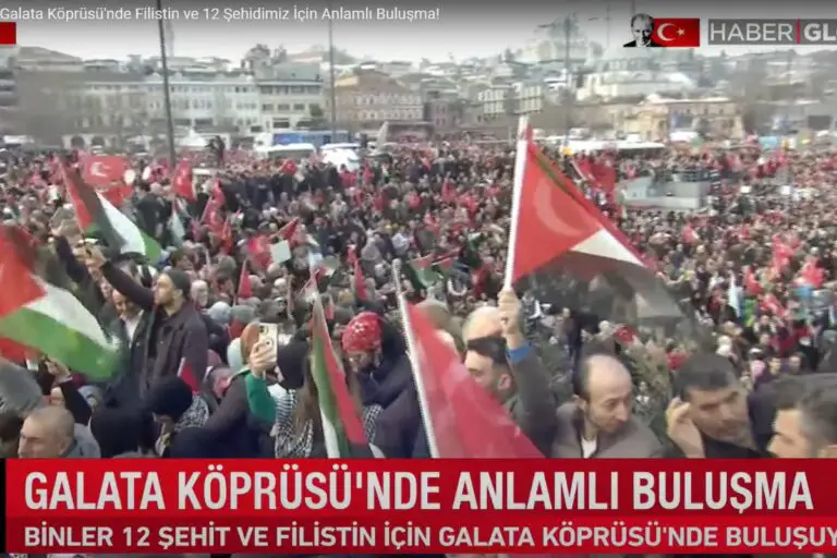 Propalestyńska manifestacja w Stambule. Foto; print screen yt