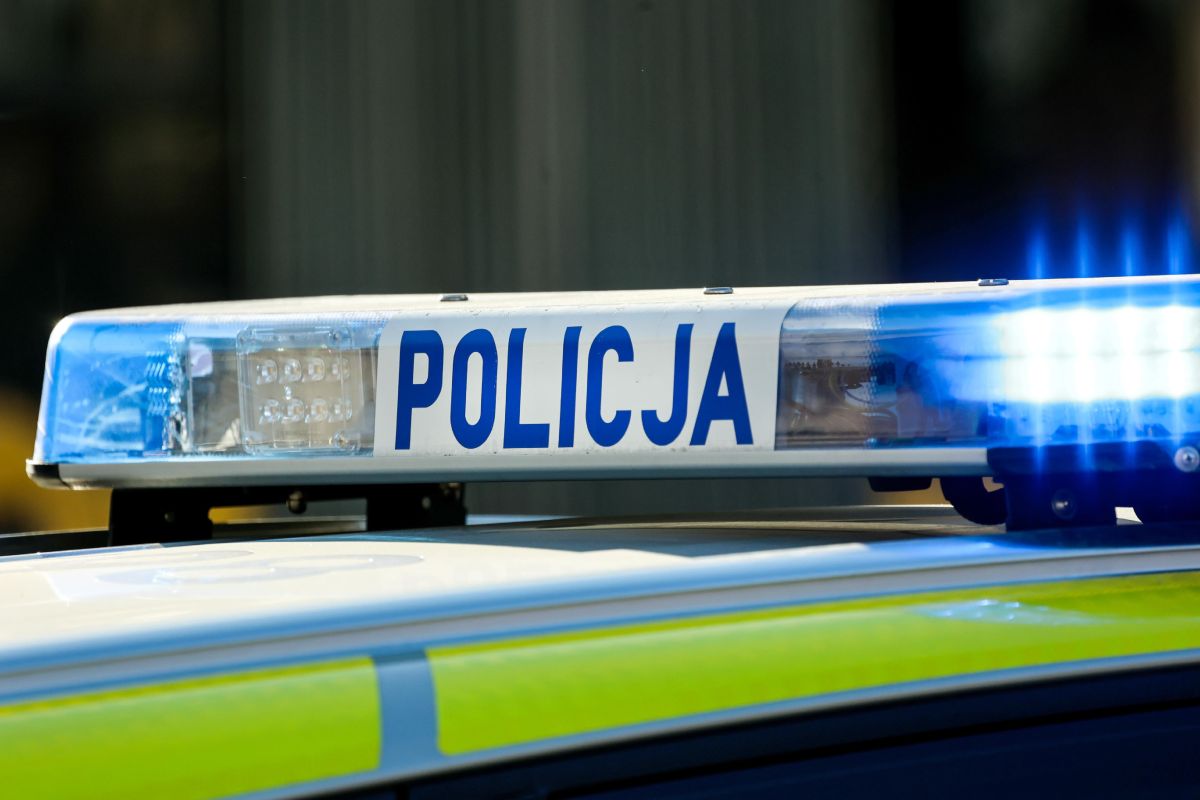 Szabrownik Z apany W K odzku NCZAS INFO