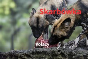 Hieny, skarbówka, fiskus, państwo, urząd skarbowy