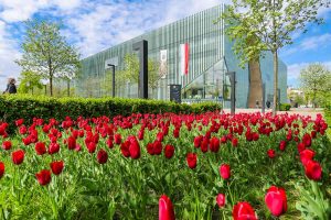 Polin, Muzeum, Żydzi, Warszawa