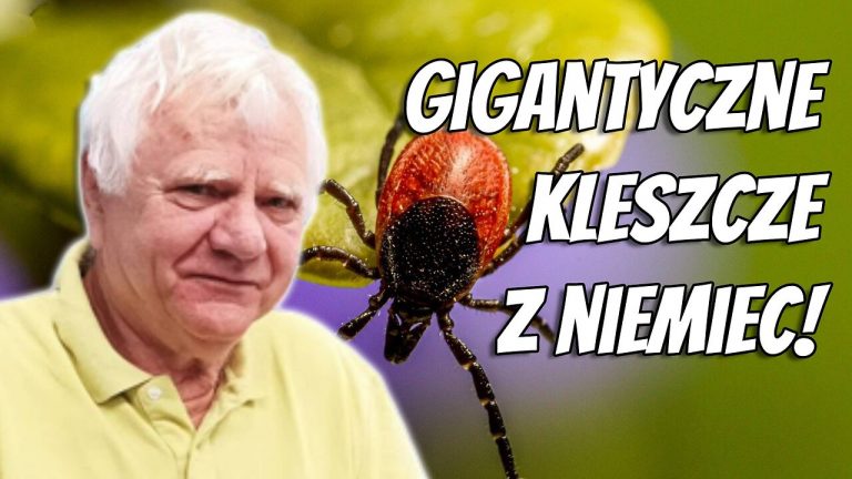 Kowalczak: Mit klęski klimatycznej trzeszczy!