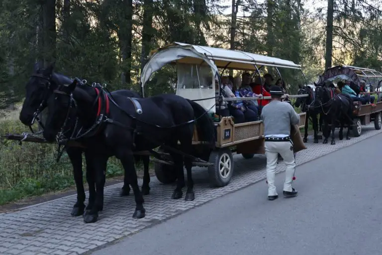 Morskie Oko i konie.