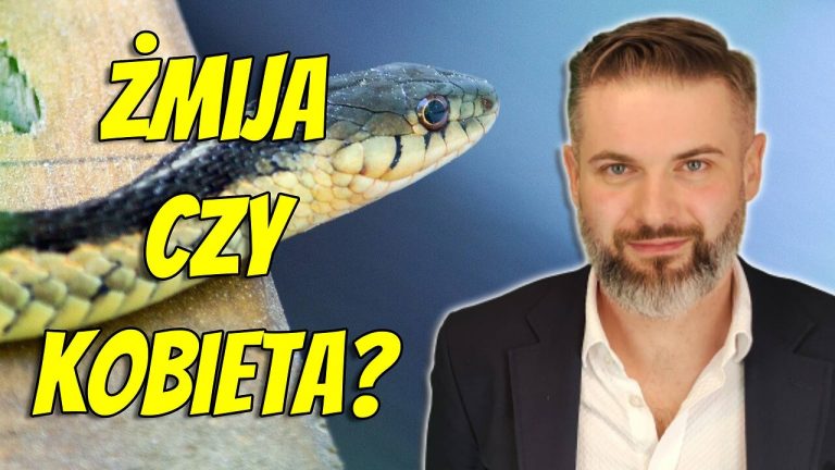 Roman Warszawski: Niedźwiedzie lepsze od facetów!