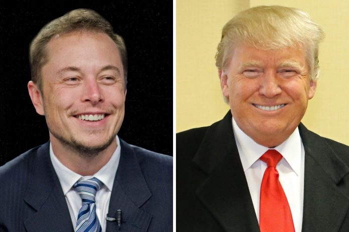 Elon Musk i Donald Trump. / Foto: Pixabay (2)