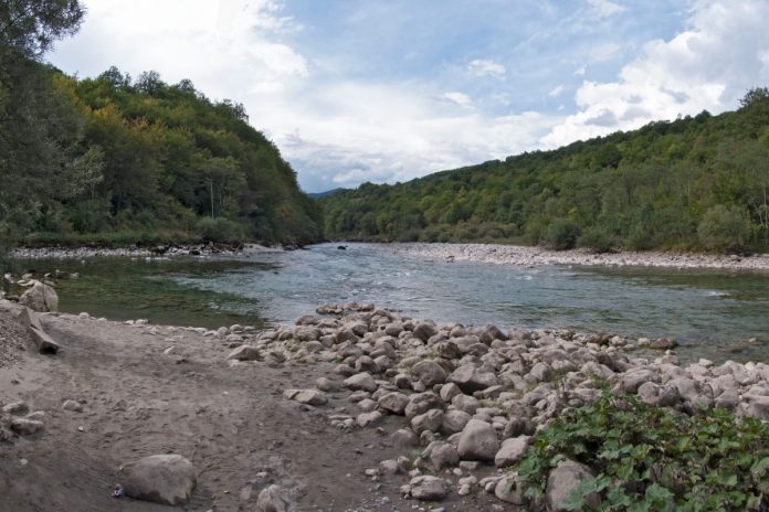 Rzeka Drina