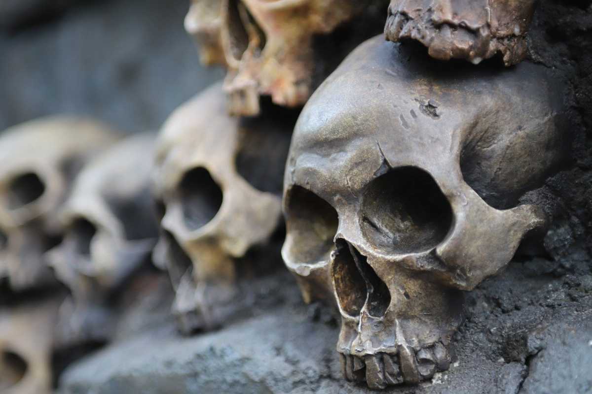 Oddali dawnej kolonii… trzy czaszki