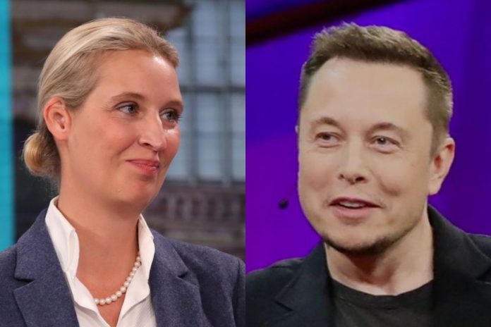 alice weidel elon musk