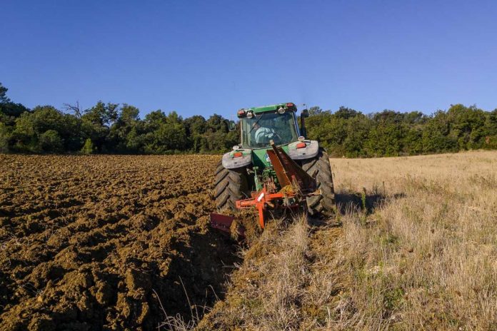 Ciągnik, traktor.