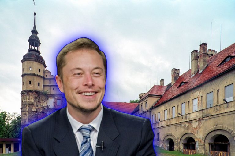 elon musk glogowek zamek