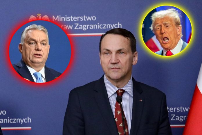 radoslaw sikorski donald trump victor orban