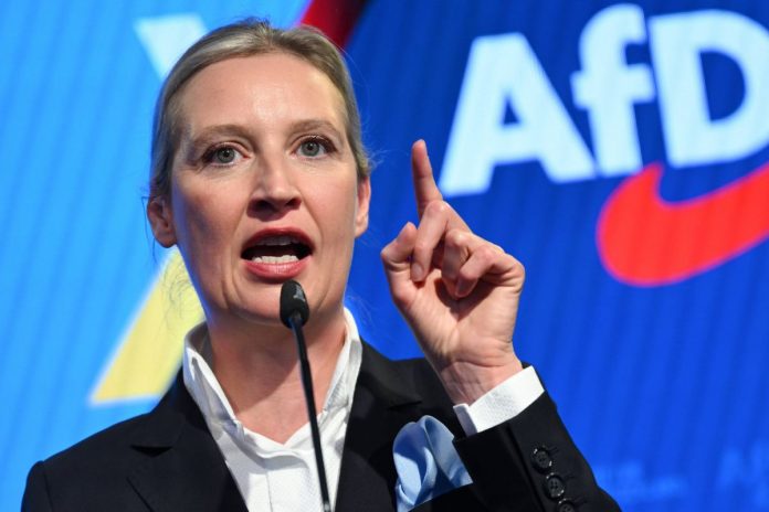 Alice Weidel, AfD.