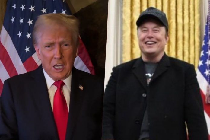 donald trump elon musk