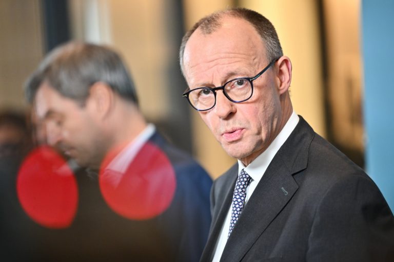 friedrich merz