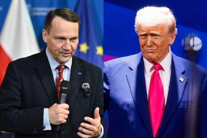 Radosław Sikorski i Donald Trump