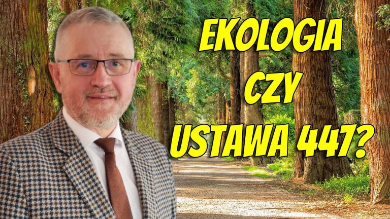 Stefan Traczyk: Wojna o polskie lasy!