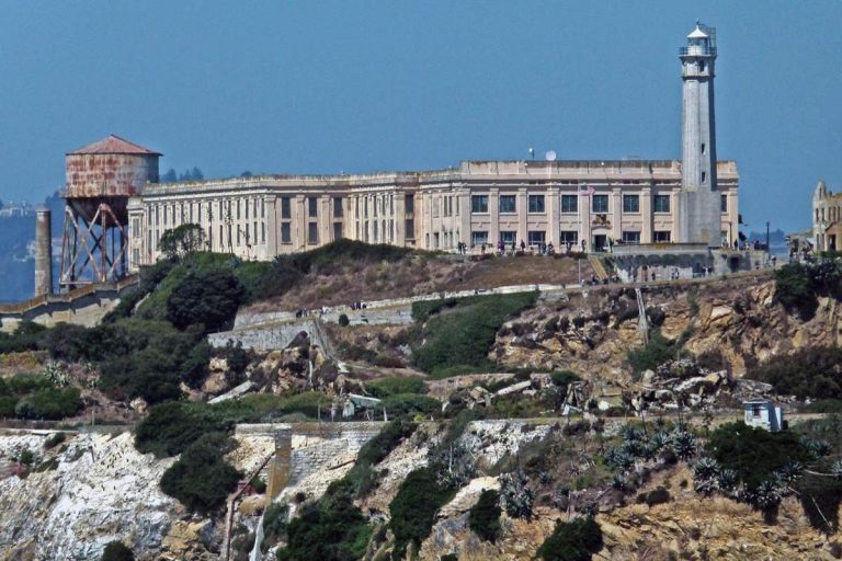 Alcatraz. /Foto: Pixabay
