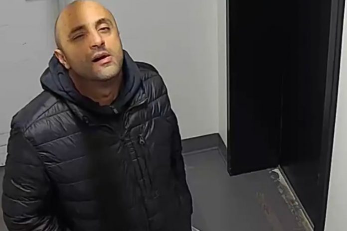 mohamed al ballouz