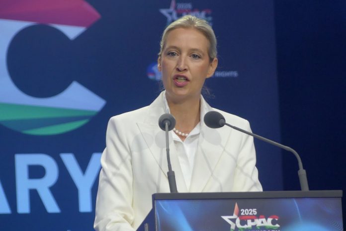 Alice Weidel