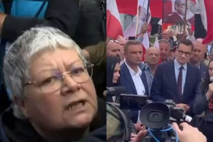 babcia kasia robert bakiewicz mateusz morawiecki