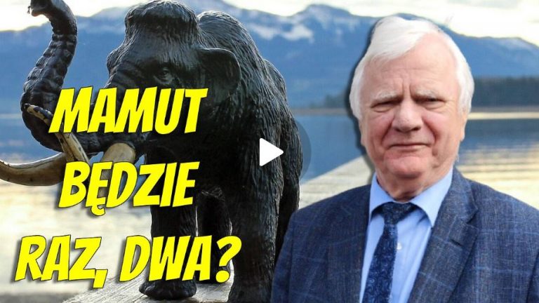 Prof. Piotr Kowalczak: Biomasa to już wróg!
