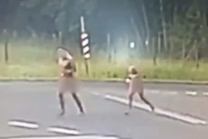 Nadzy Afrykańczycy przebiegają drogę w Lubinie / prnt scrn lubin.pl