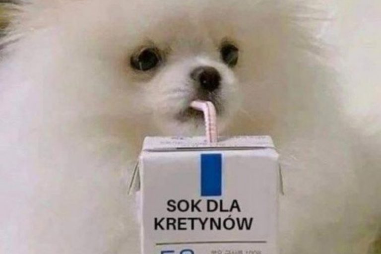 sok dla kretynow piesel mem