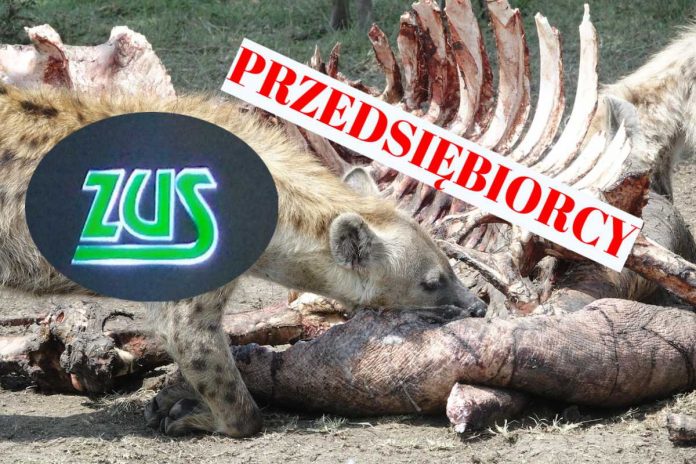 ZUS kontra przedsiębiorcy hiena