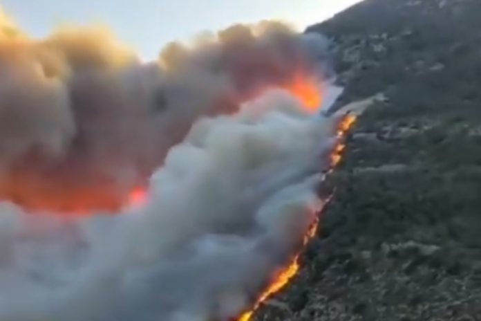 jerapetra kreta pozar