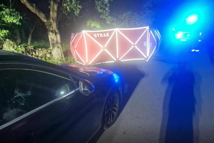 policja wypadek plock nakwasin