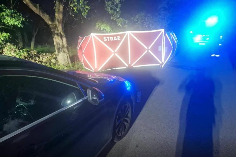 policja wypadek plock nakwasin