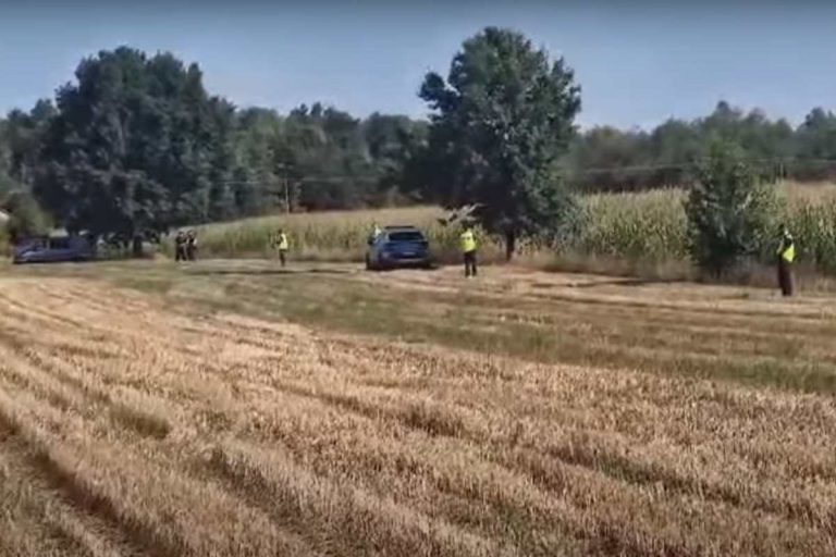 Osiny. Pole, na które spadł tajemniczy obiekt
