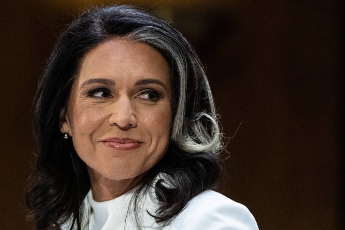 Tulsi Gabbard, Dyrektor Wywiadu Narodowego USA. Foto: PAP/EPA