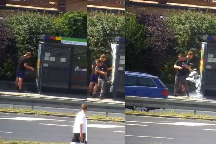 marki pustelnik przystanek wandalizm imigranci