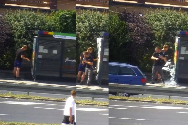 marki pustelnik przystanek wandalizm imigranci