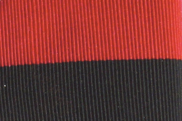 ukraina upa flaga