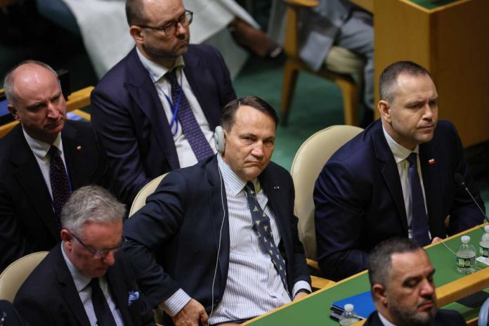 Radosław Sikorski i Karol Nawrocki