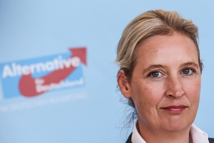 alice wiecel afd