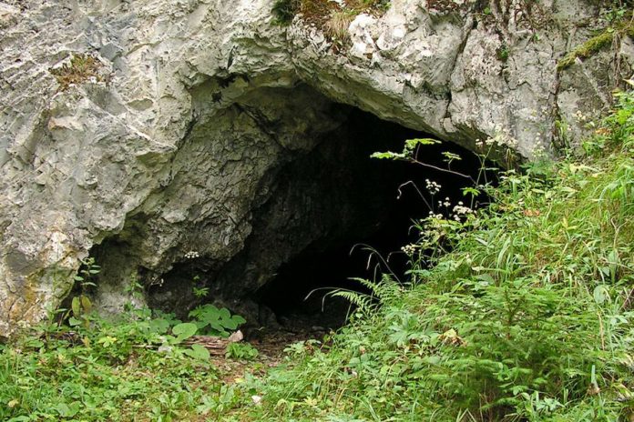 Wejście do Jaskini nad Huczawą . Foto: wikimedia/Rafik k