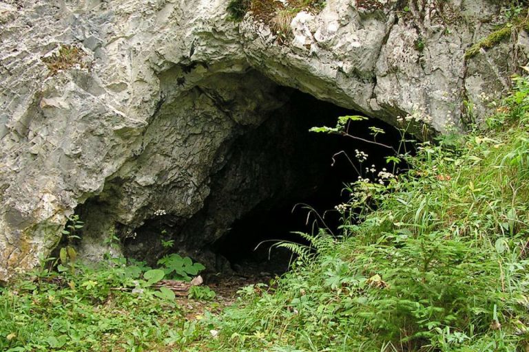 Wejście do Jaskini nad Huczawą . Foto: wikimedia/Rafik k