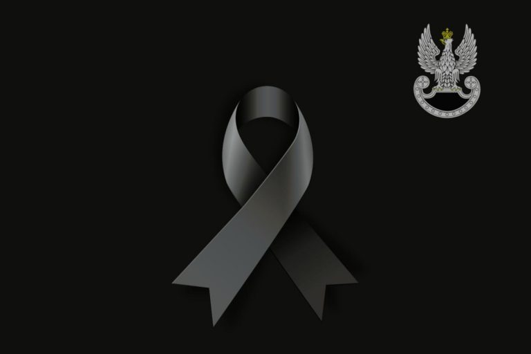 Obrazek ilustracyjny. Źródło: X/Dowództwo Generalne Rodzajów Sił Zbrojnych