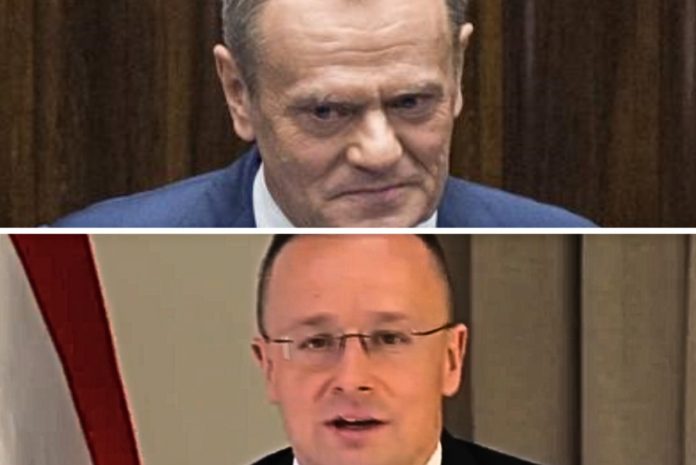 NCZAS.INFO | Donald Tusk i Peter Szijjarto. / Foto: YT (screen)