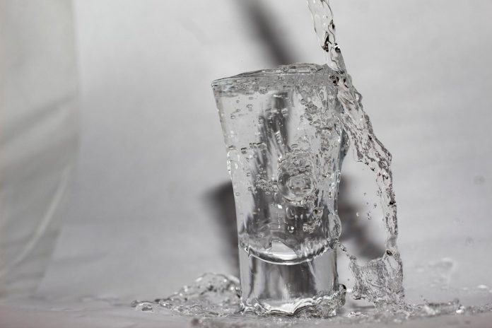 alkohol wódka