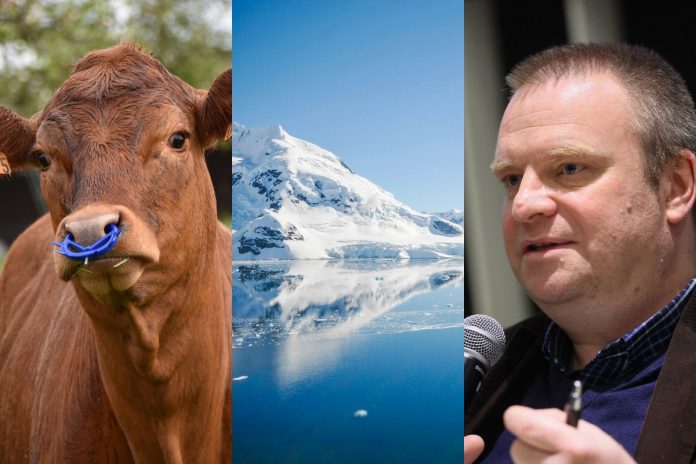krowa antarktyda lukasz warzecha