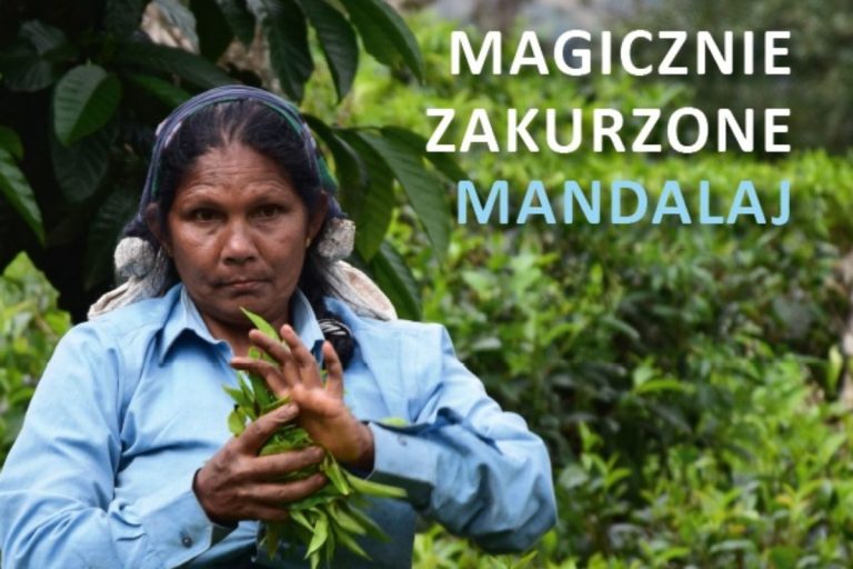 Okładka książki "Magiczne zakurzone Mandalaj".